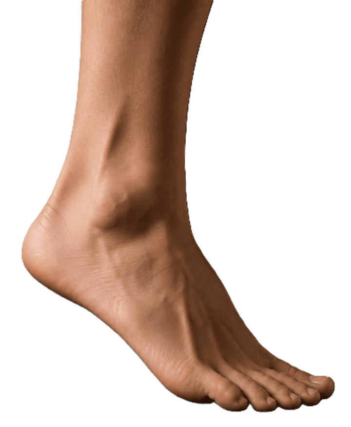 Biomechanika stóp
